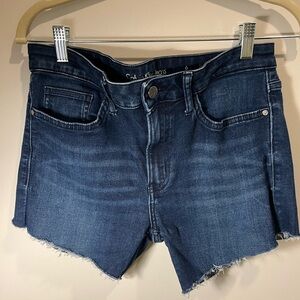 Calvin Klein Women’s Frayed Jean Shorts